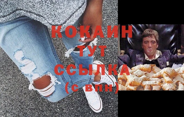 прущие грибы Навашино