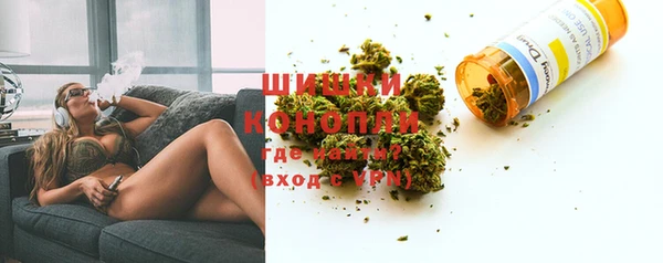 прущие грибы Навашино